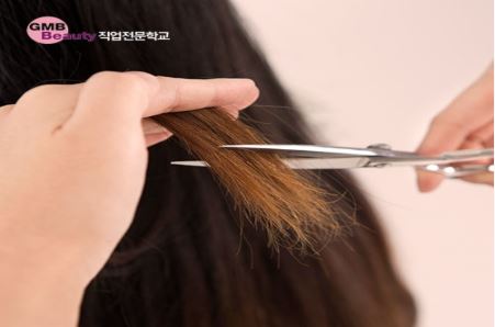 헤어살롱커트(남성/여성)